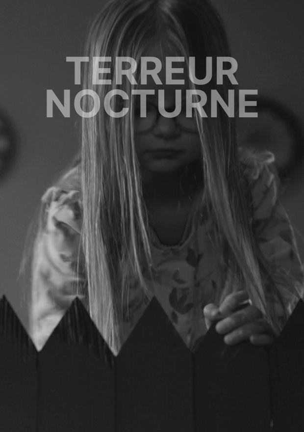 Affiche du court métrage Terreur Nocturne, 2026